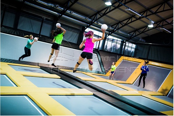 Dodgeball courts